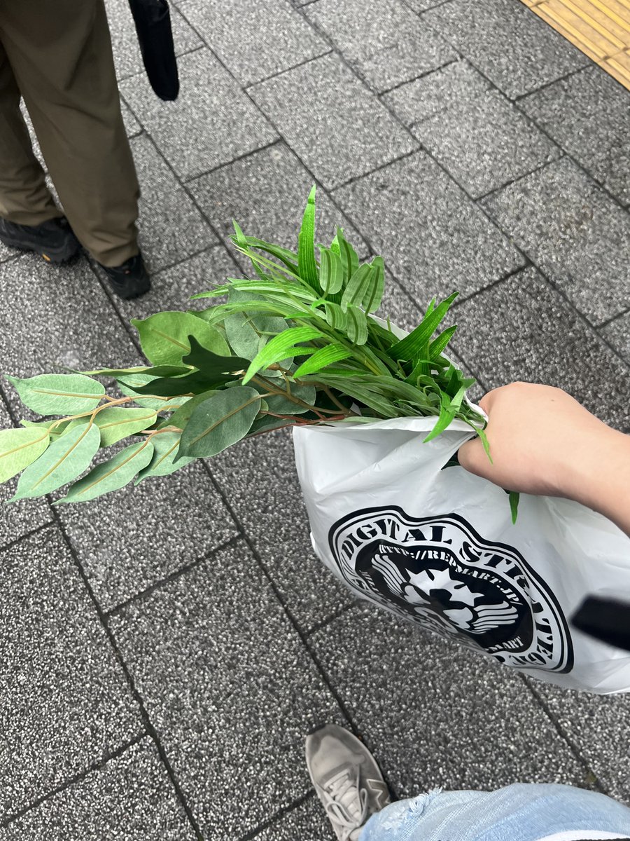 Taka_manager20's tweet photo. 素材 https://t.co/sqUQNDhgIj
