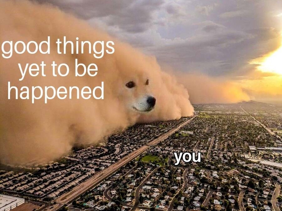 WholesomeMeme's tweet photo. https://t.co/2VkeKXqA6W