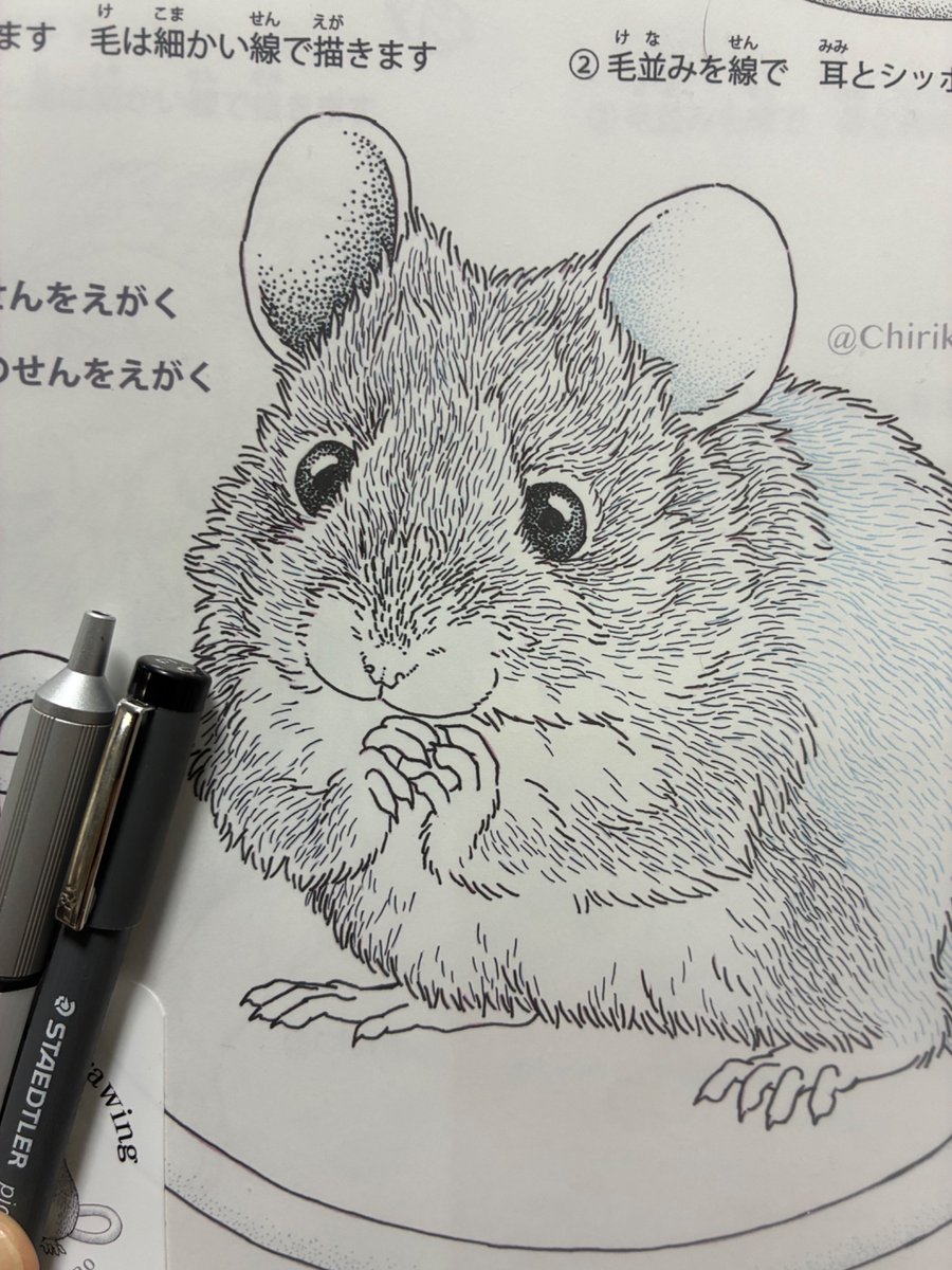 shumitani's tweet photo. 毛並みができてきた。鼻周りの毛並みをミリペン（右）で始めてしまったせいで鼻周りだけ剛毛ネズミちゃん…😂
毛並みははじめから極細製図ペン（左）ですればよかった… https://t.co/PdwLSvjvbX