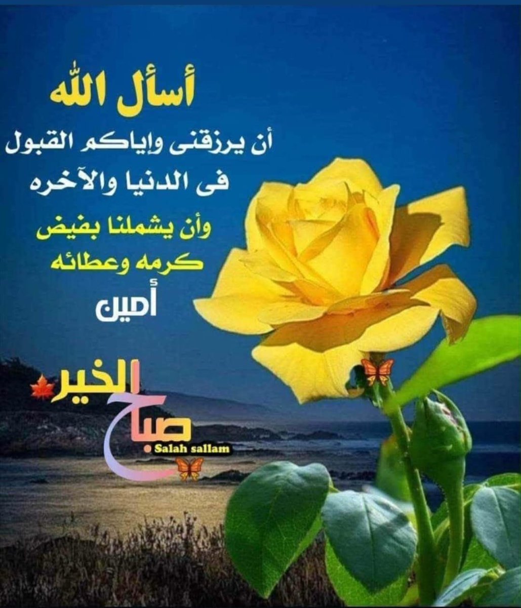abosaad441's tweet photo. https://t.co/wDnwkYMjOh
