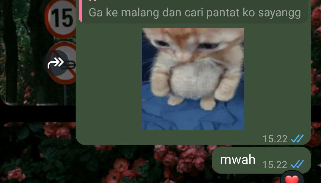 naraeeehere's tweet photo. bacain chat pacar no context tu bikin ngakak https://t.co/grRF2QzjbU