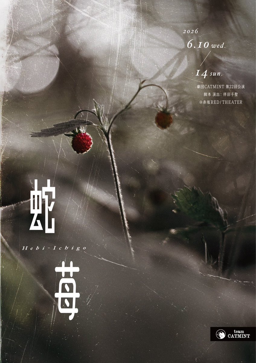 team_catmint's tweet photo. 劇団CATMINT 
第22回公演【蛇苺】  
 
🕰️6月10日(水)〜14日(日)  
📷赤坂RED/THEATER  

 \\\\グッズ通信販売決定////   

在庫のみの販売となります🛍️
短い間ですが、たくさんご注文お待ちしております！

◼︎アクリルスタンド
6月21日(日)23:59まで受付
◼︎グッズ通販
6月22日(月) 23:59まで受付

ご注文は🛍️
https://t.co/HKQBWz24Nu

 #舞台蛇苺 #キャットミント