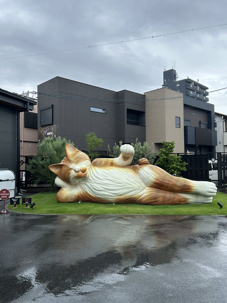 el_3700's tweet photo. 招き猫ミュージアム

たくさんの招き猫たちに癒されたー😻 https://t.co/TxLz1hQxth