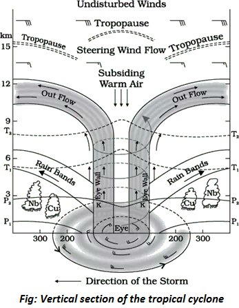 A Tropical Cyclone is a large, non-frontal low-pressure system that ...