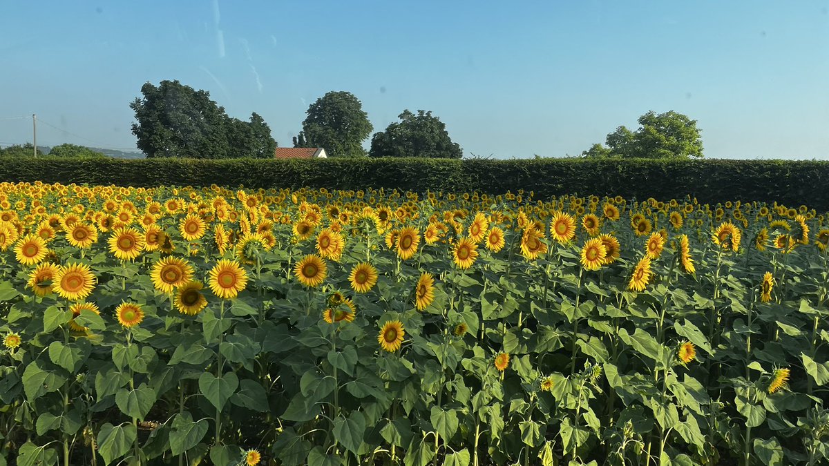 SusySimonetto's tweet photo. 🥰 https://t.co/E0L21UqImM