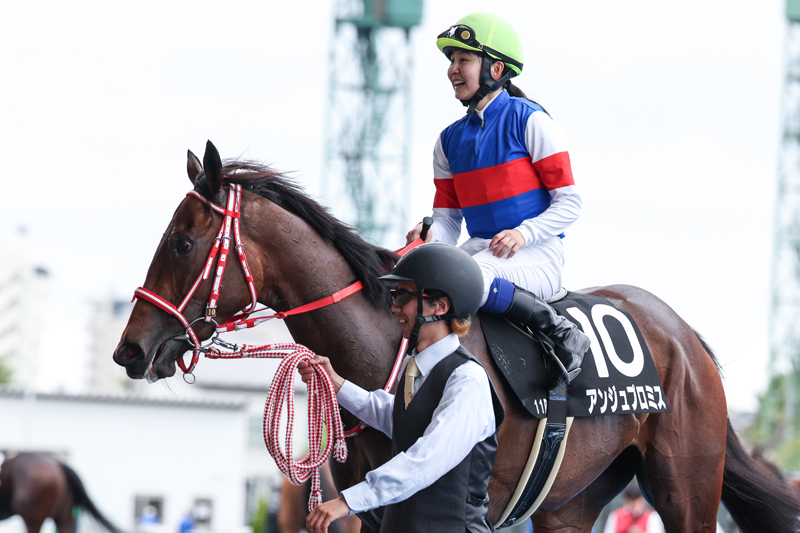 gallop_keiba's tweet photo. 函館11R、#STV杯 は4番人気 #アンジュプロミス が勝利！ 逃げ切って3勝目！
母は15年チャンピオンズCを制したサンビスタ。 https://t.co/KjsUMgntyy
