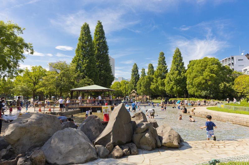 azzzzzzusa's tweet photo. リニューアル後の木場公園はいいぞ(震え声)

昔の木場公園、広いけど遊具とか全然なかったから https://t.co/yZlicrAxJZ