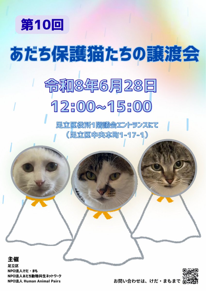 adachi_city's tweet photo. ＼保護猫たちの譲渡会開催／
６月２８日（日）１２時から１５時（最終受付１４時半）に「第１０回あだち保護猫たちの譲渡会」を区役所１階、議会エントランスで開催します。お気軽にお立ち寄りください！

くわしくは、こちら⇒https://t.co/ZIc4pacsSk
#足立区 #猫 #譲渡会 https://t.co/8BkJ85bELU