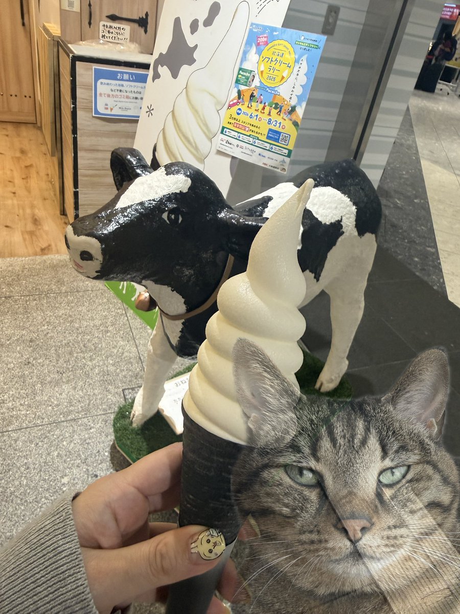 _a_risa123's tweet photo. 今回の見送りも圧が強かった。 https://t.co/3AMxuilJb7