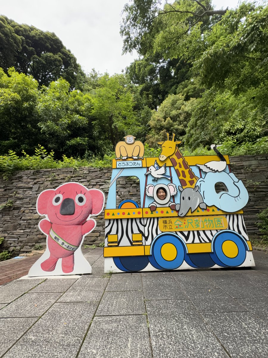 今日6/20は #世界キリンの日 🦒 陸上でいちばん首の長い動物である