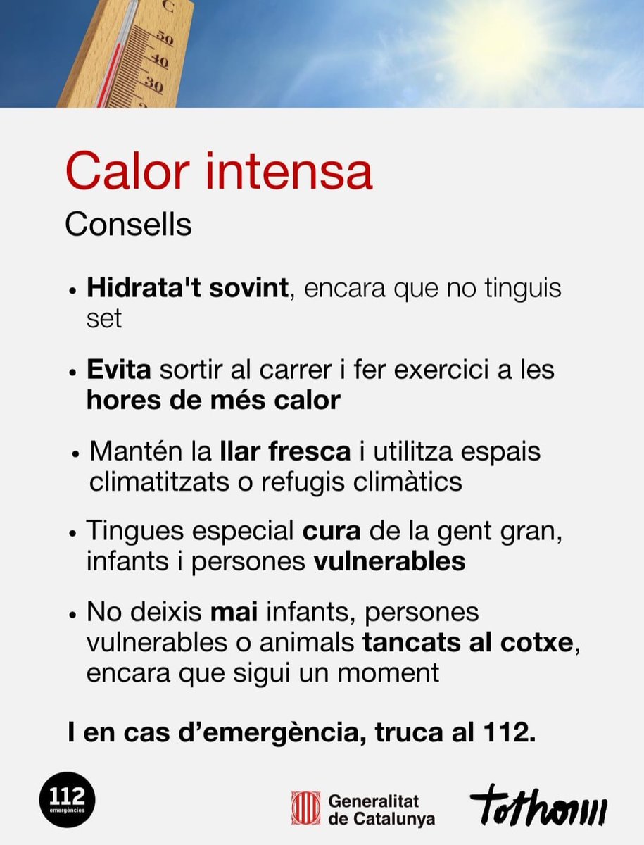 ajdemollerussa's tweet photo. ✅️Informació d'interès👇 https://t.co/bd4ymbIVrU