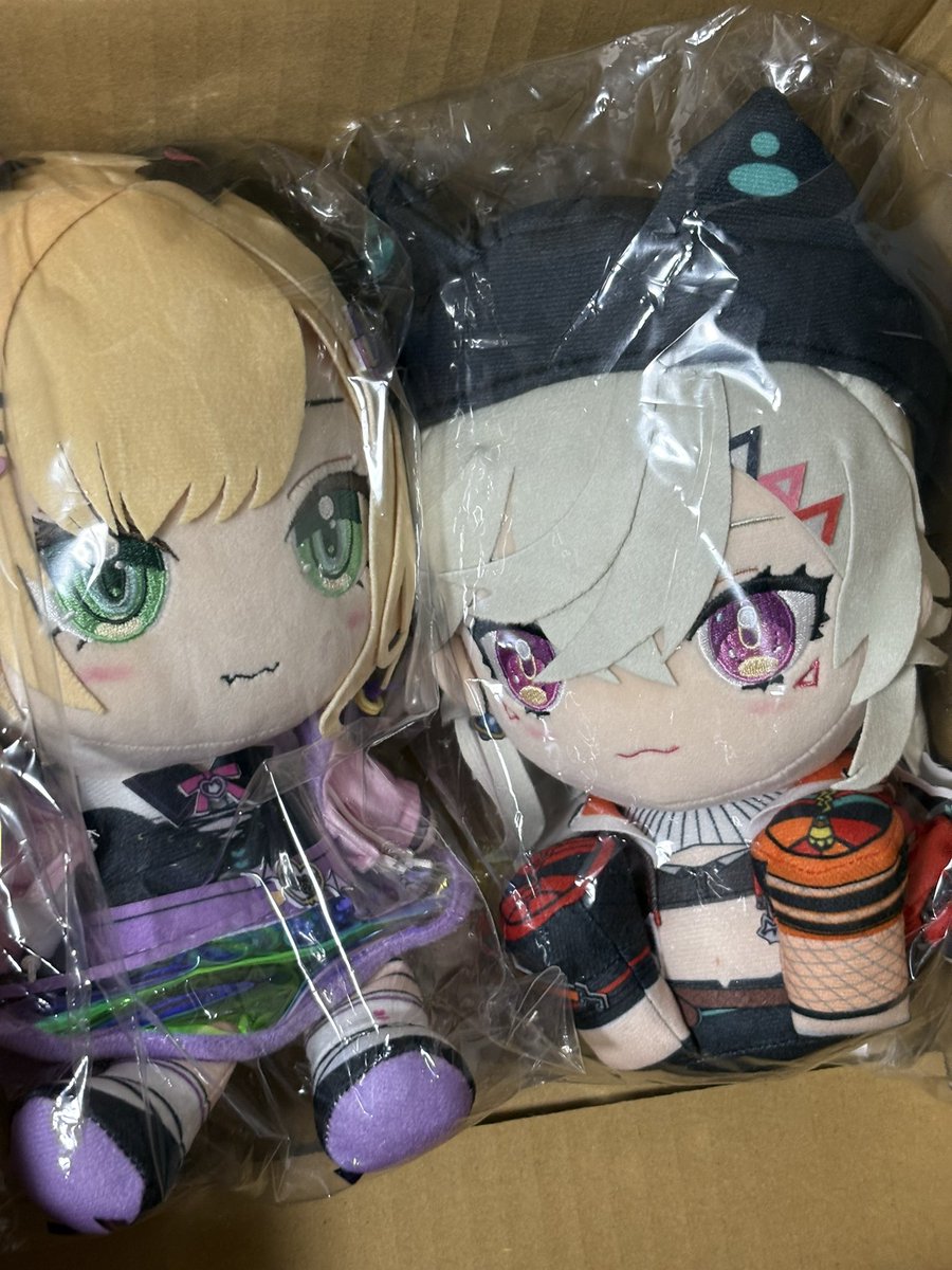 natoneba93g3's tweet photo. ぬいが届いた https://t.co/knw2Dtjpy2