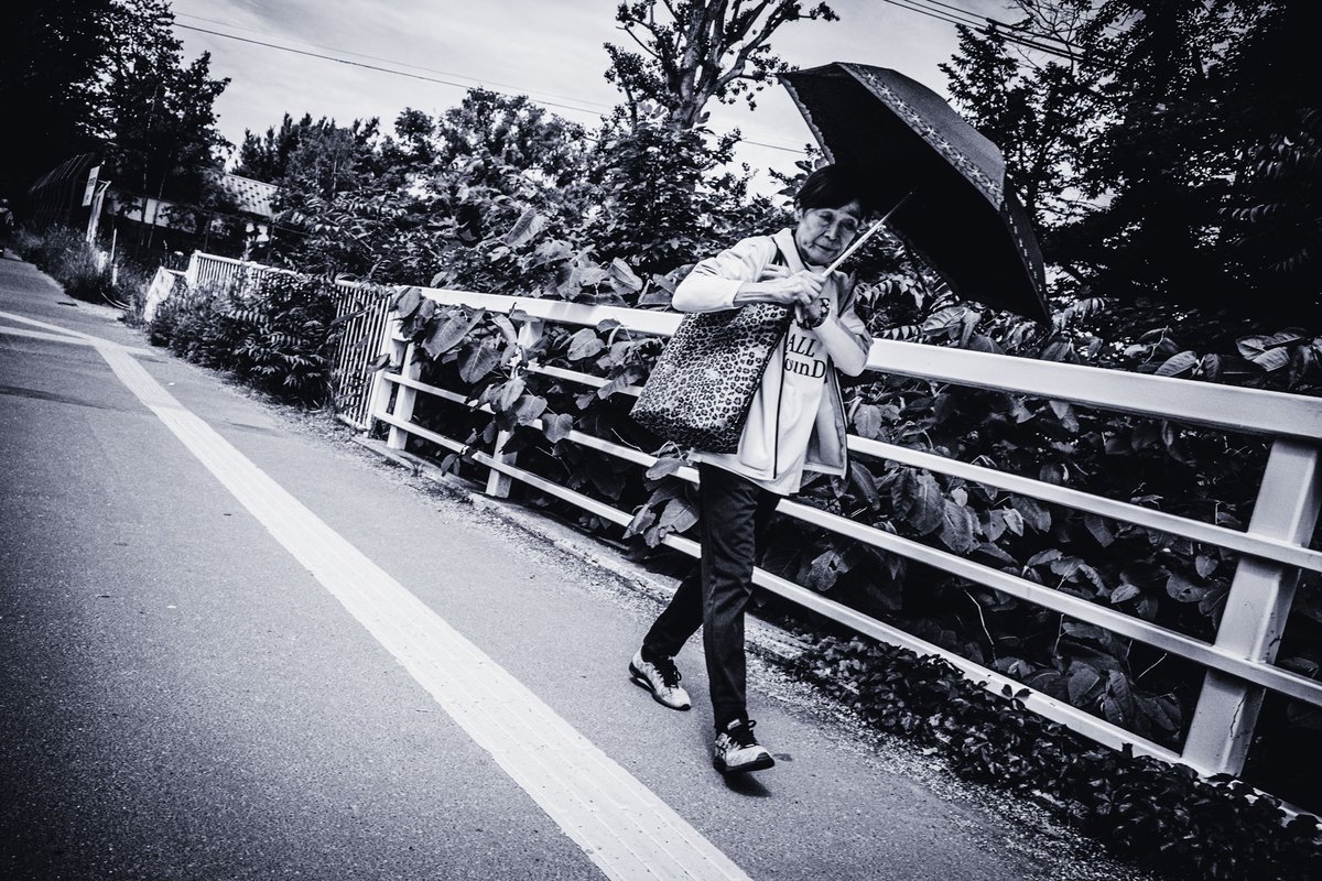 ykzero's tweet photo. 20260620 SAPPORO

#GRIII #GR3
#SnapShot
#monochrome https://t.co/Id6x8Z7Ajy