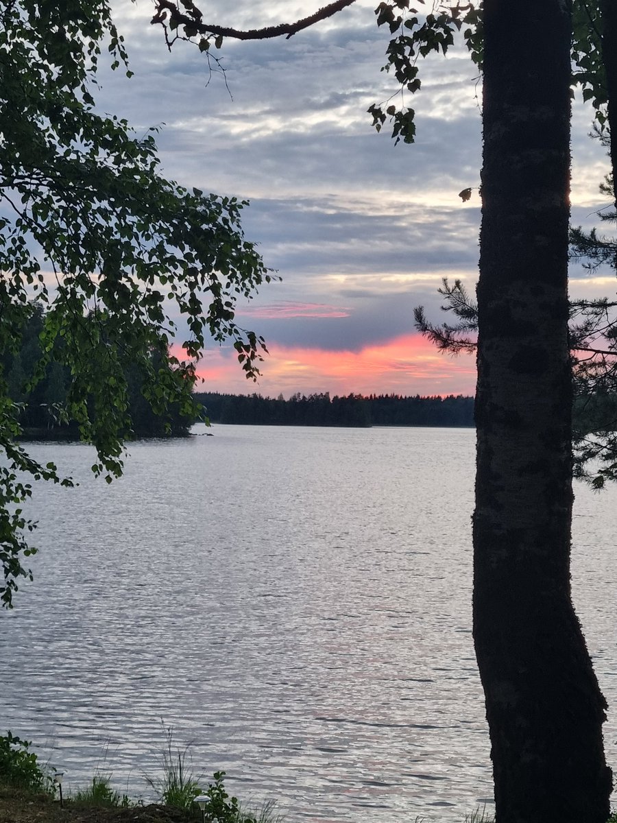 Sepeli's tweet photo. @PoikaPohjan Hyvvee jusandeeria! tän saaren syvästä päädystä https://t.co/HwUf9NyECD
