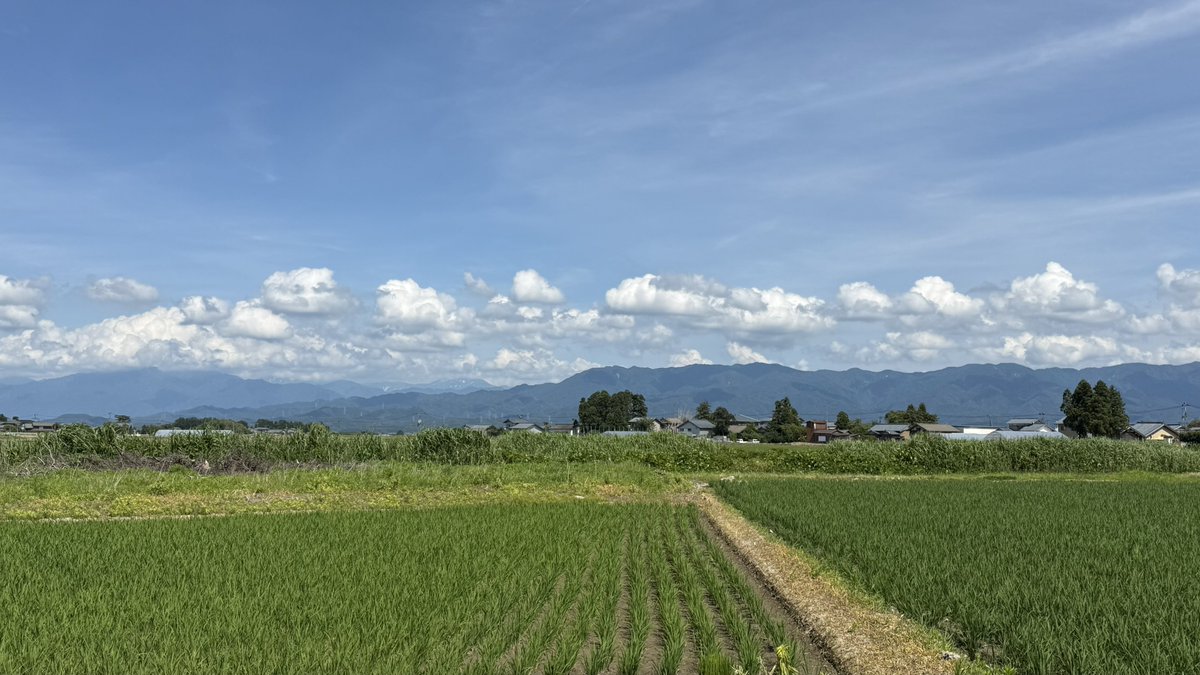 kuenzy's tweet photo. 阿賀野川SAで熊警告にビビる
田んぼの広がる新潟は非日常の趣き
三箇所の墓参を速攻で済ませていつものアパホテル＆リゾート新潟駅前大通に投宿
クルマも裏の立体駐車場に入れられて良かった

APA！

#マツダ #マツダ3 #mazda #mazda3 https://t.co/d4fuISnuDf
