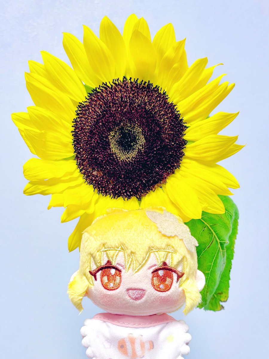 saekapo's tweet photo. 太陽の光 https://t.co/qH2U78QBKL