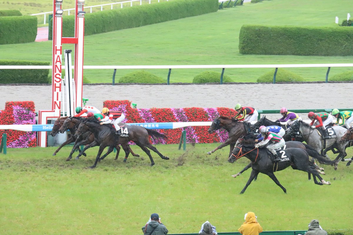 nobuo1992's tweet photo. 阪神競馬場離脱 https://t.co/Np6EiYAZfl