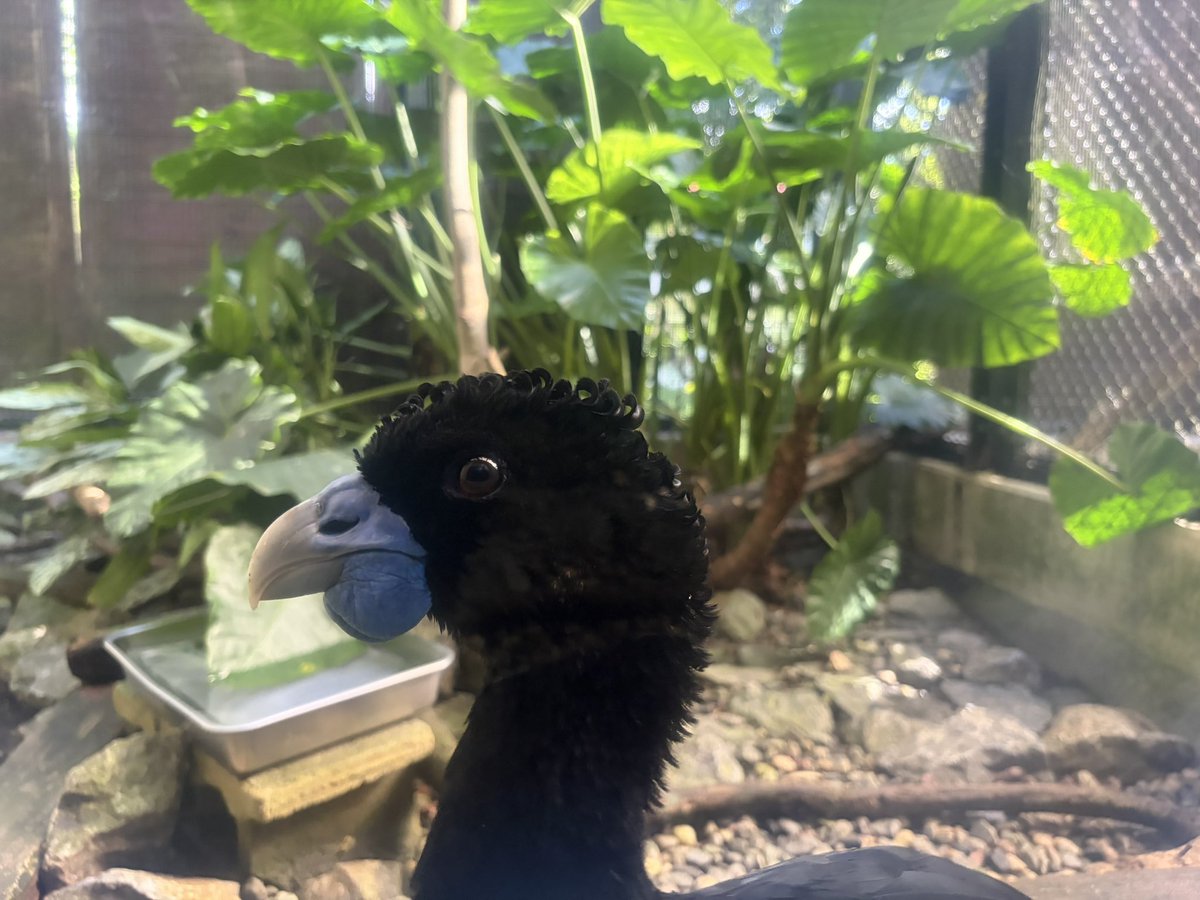 himazarasi's tweet photo. 会社で沖縄行ってました！ https://t.co/G0woY9HaDo