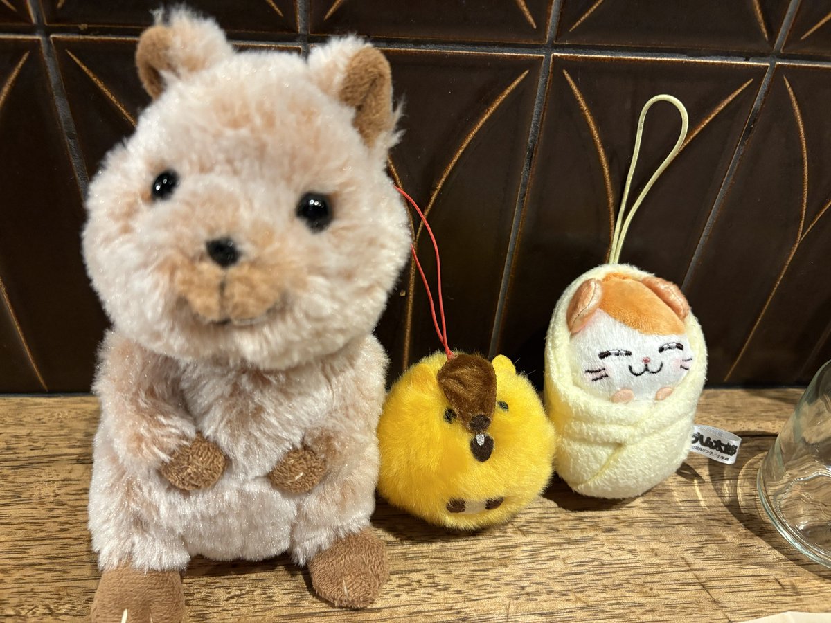 momoclo_kebabu's tweet photo. 送別会に来ました（？）
ゆりちゃん待ってるのであーたろを連れてきております（なおたろが） https://t.co/anDd8YFu6y
