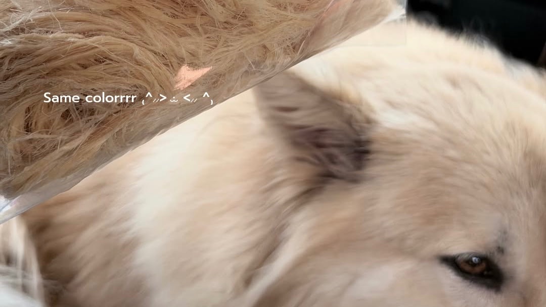 nuttybear_story's tweet photo. น้ำหนึ่งน่ารักมาจัง ได้เติมชาวี ได้อยู่กับครอบครัวแล้วยิ้มแก้มขีดเลย ดีใจที่ได้เห็นยู้กหมีมีความสุขน้าา enjoy weekend na kubb 🤍⭐️

( ig: with.namneung )

#NamneungMilinD https://t.co/UUKdmKpDDf