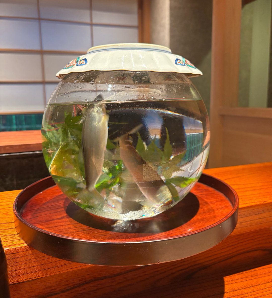 MasterKey_'s tweet photo. すごい好きなお店で結婚記念祝いした💐
鮎の季節 https://t.co/RK2ONcjAtd