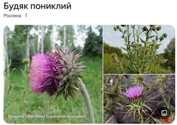 gwenllianwales's tweet photo. Дуже його розумію https://t.co/N5qLKRI30m