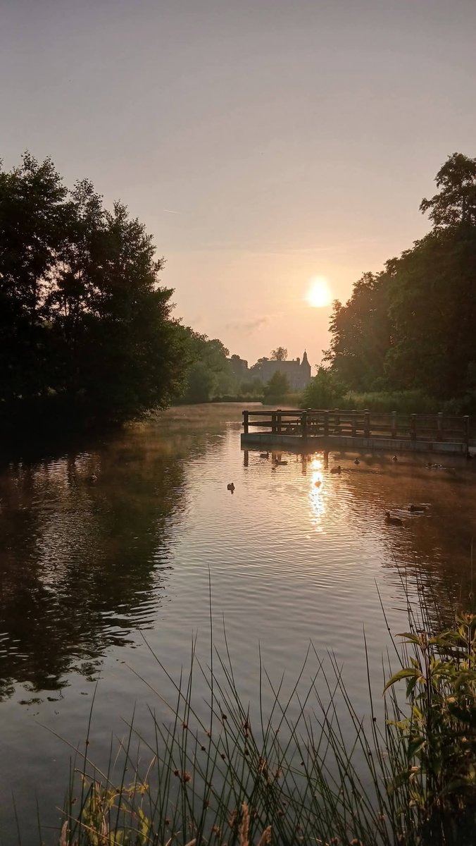 dyh2505's tweet photo. Parc de Monceau-sur-Sambre,
    6h du matin https://t.co/XaUYcdIgpv