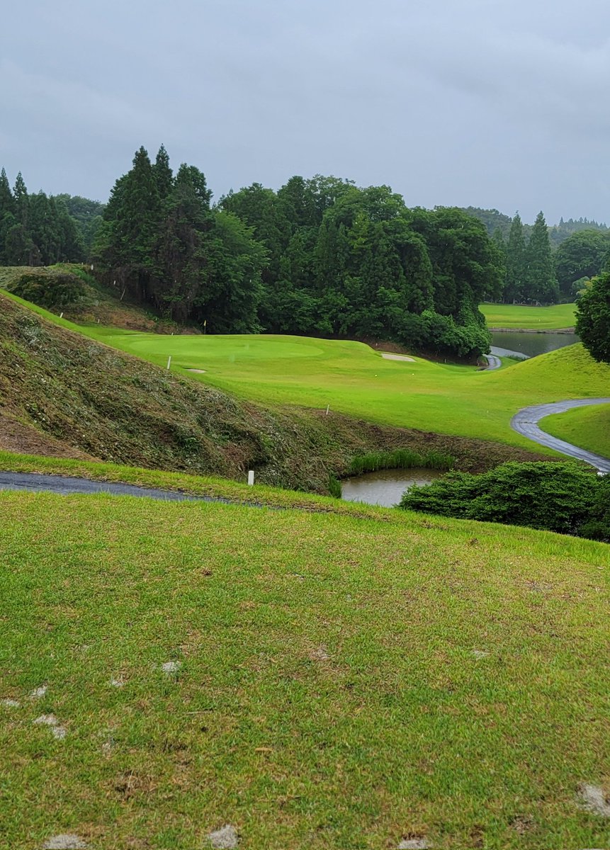 golfkich's tweet photo. 雨ゴルフ⛳◌41+39
久し振りの３０台😀✌
とにかくショットが良かった🏌️
パットは一昨日10フィートのグリーンから、今日は苦手な8フィートの高麗グリーン⛳沢山あったバーディーチャンスはもちろん見事に全てのパットが外れました🤣🤣
あと１打で70台だったのに…(涙) https://t.co/dbuS27W0Z3