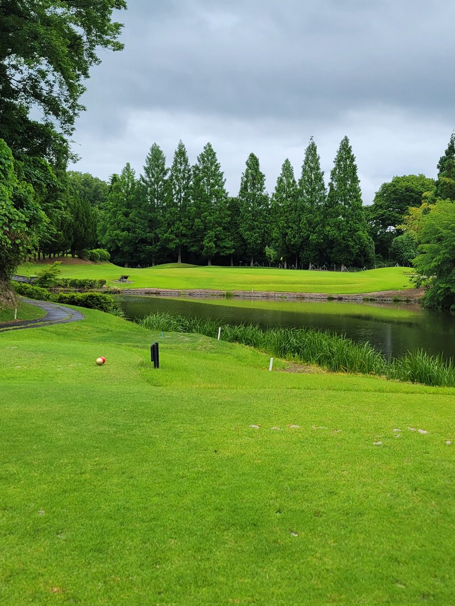 golfkich's tweet photo. 雨ゴルフ⛳◌41+39
久し振りの３０台😀✌
とにかくショットが良かった🏌️
パットは一昨日10フィートのグリーンから、今日は苦手な8フィートの高麗グリーン⛳沢山あったバーディーチャンスはもちろん見事に全てのパットが外れました🤣🤣
あと１打で70台だったのに…(涙) https://t.co/dbuS27W0Z3