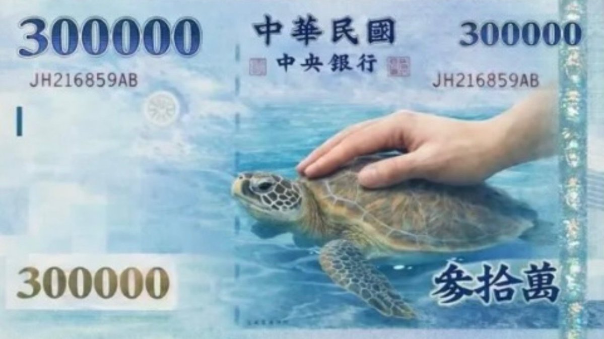 Formosanhistory's tweet photo. 台湾でウミガメ🐢に触るだけで、NT$30万(約150万円)の罰金または1年以下のブタ箱行きでございます。

ウミガメは離島部にはけっこういるらしく、思わず手を伸ばしたくなるでしょうが、我慢しましょう。 https://t.co/ToPEUeWBSV