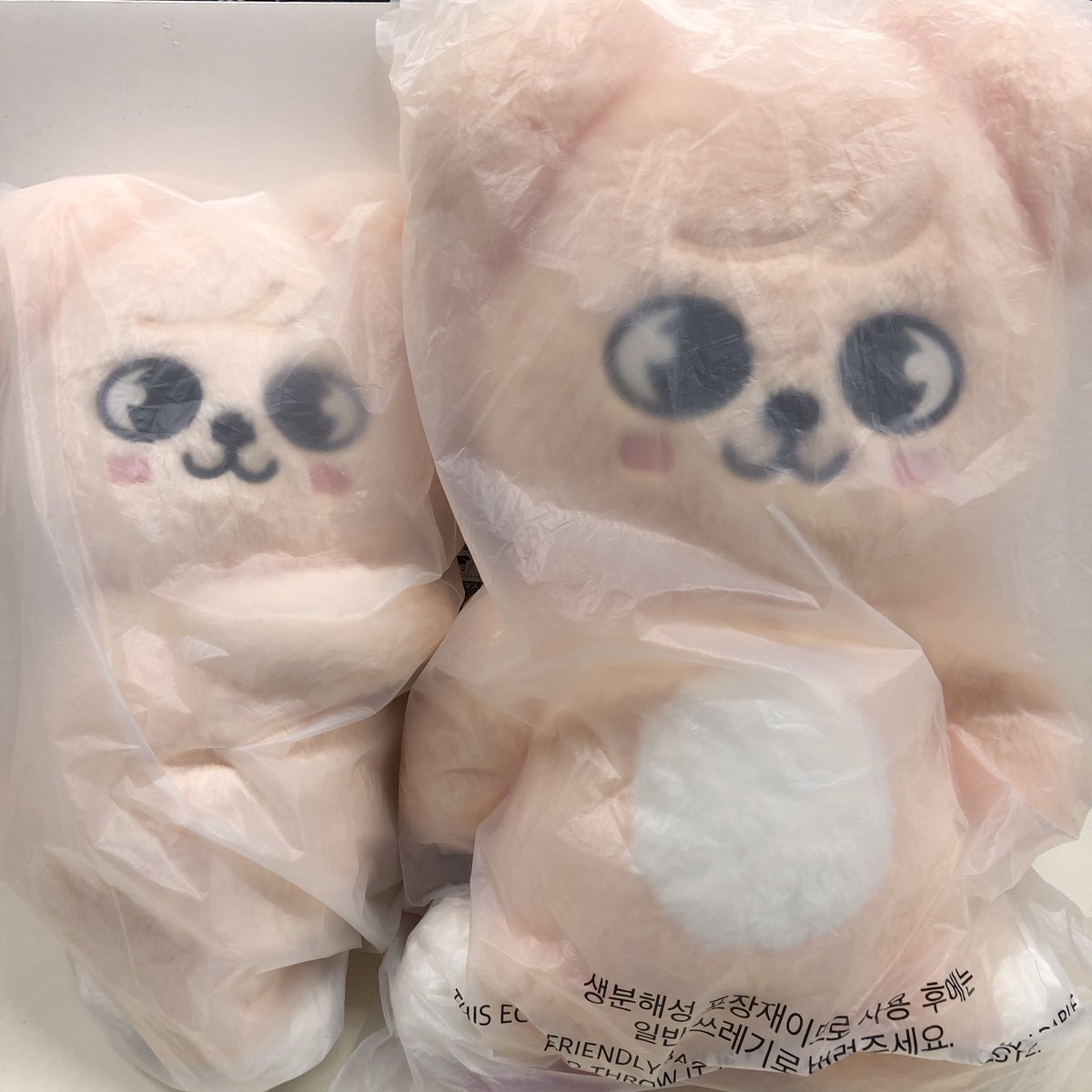 StrayKids StrayKids SKZOO PuppyMのPLUSH BAGとテディベアが入荷 