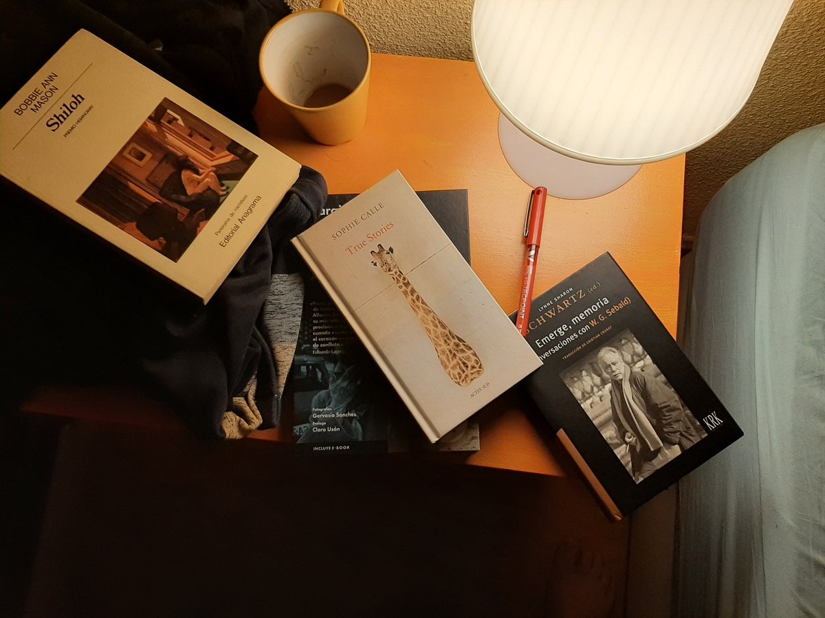 HotelInsonmia's tweet photo. La mayor parte del tiempo escribir consiste en no escribir, consiste en leer, pero sobre todo consiste en releer libros infinitos, inagotables... https://t.co/Tbq15fZPSh