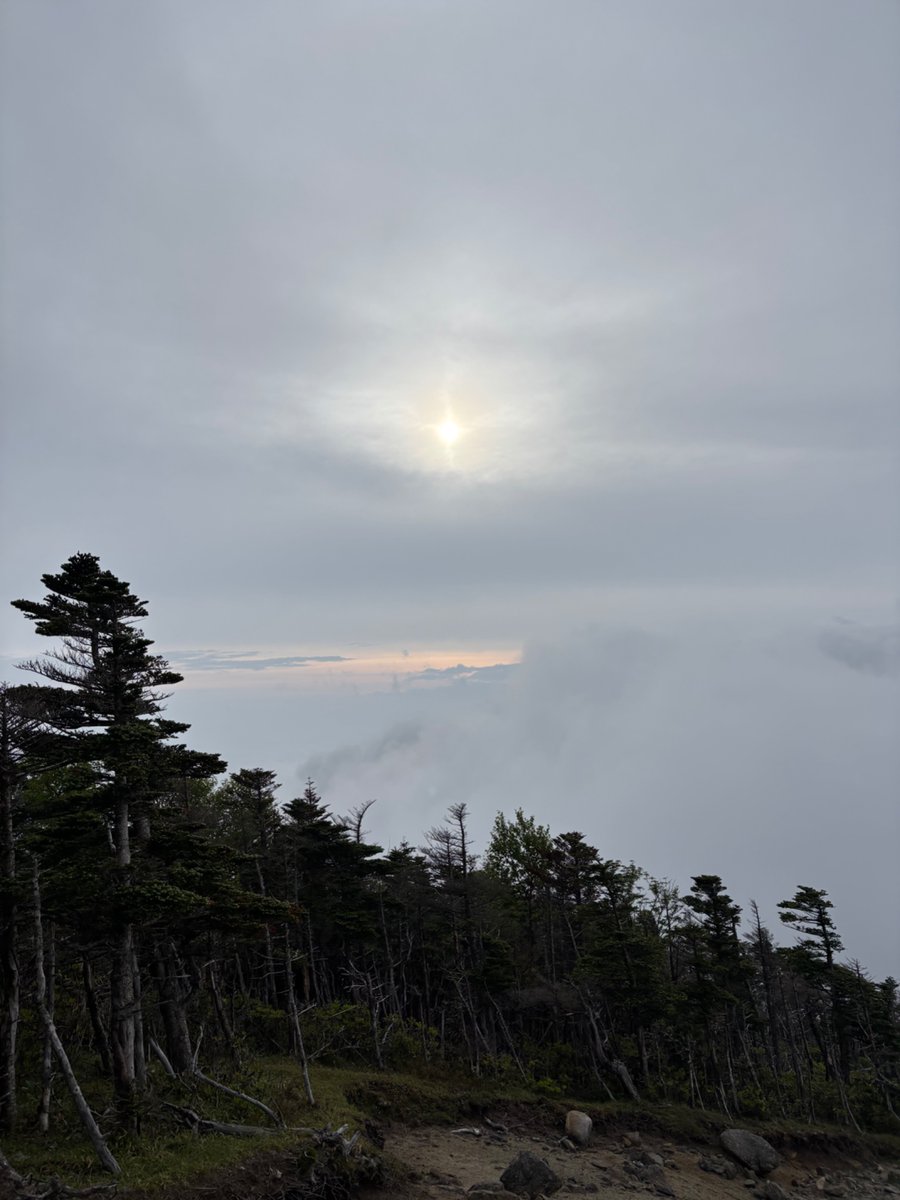 miokuge's tweet photo. 甲武信ヶ岳にテント背負って行ってきました！天気悪いの前提だったので眺望なし！少しシャクナゲ見れて良かった〜お腹空きすぎて下山メシ最高だった😋 https://t.co/nL6wcbkZMJ