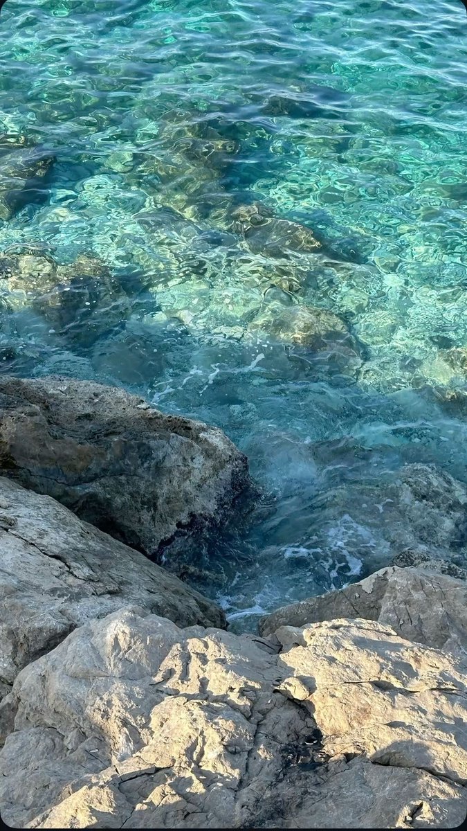 bloomele_'s tweet photo. sea serenity https://t.co/JdPNx5aetw
