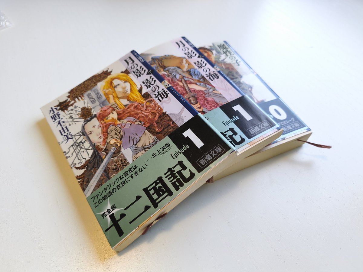 vmeitsmainc's tweet photo. 愛読書、海を渡ってドイツに到着 https://t.co/NUUlOGRGiZ