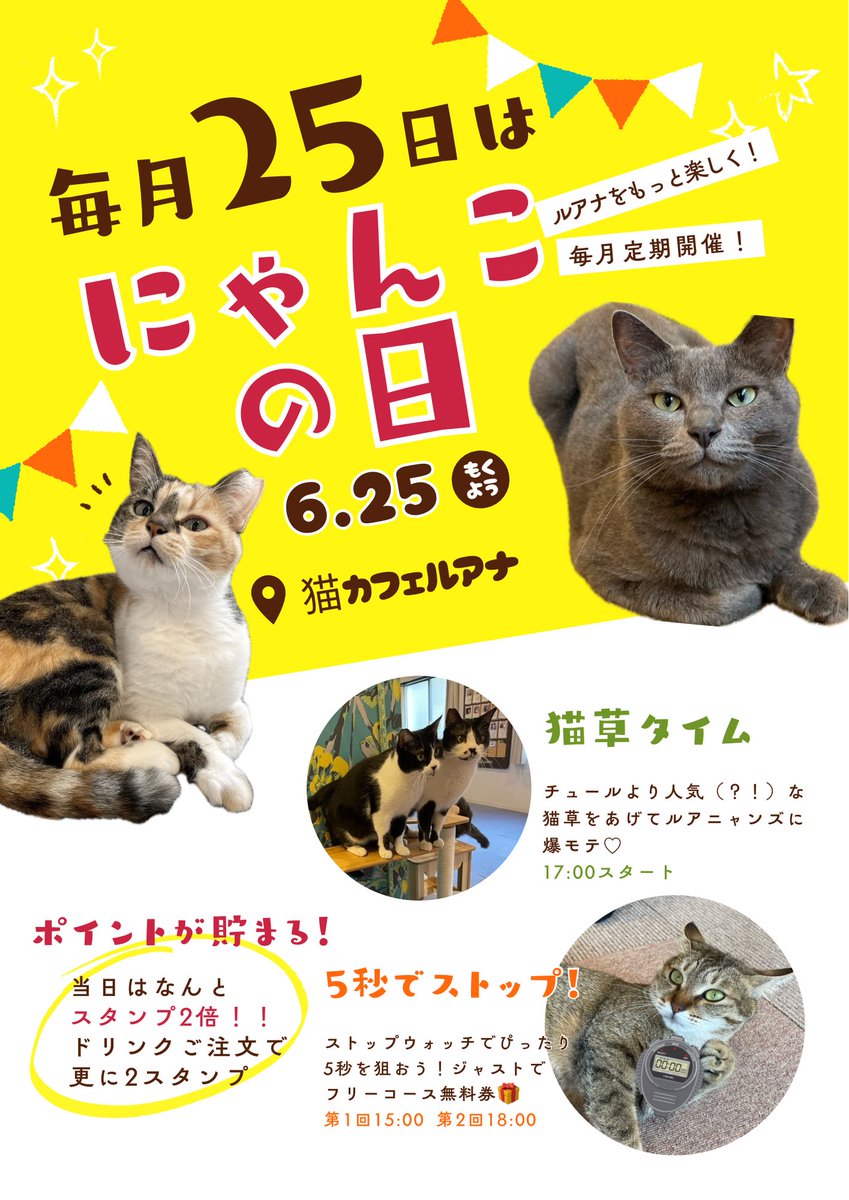 🐱毎月25日はにゃんこの日♪ 前回大好評のイベント、今月も開催いたし