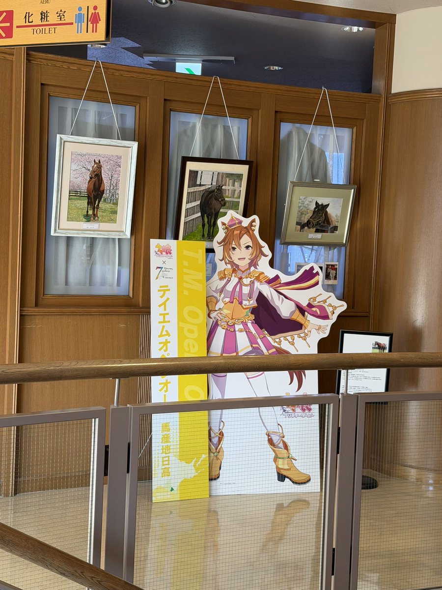 旅蟹 tweet media