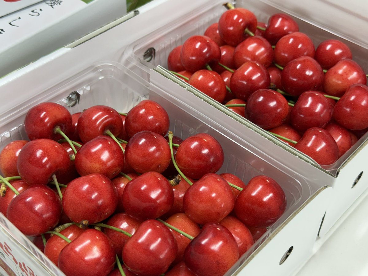 めちゃくちゃ美味しくて大粒の紅秀峰🍒🍒🍒 私が1番好きなさくらんぼ