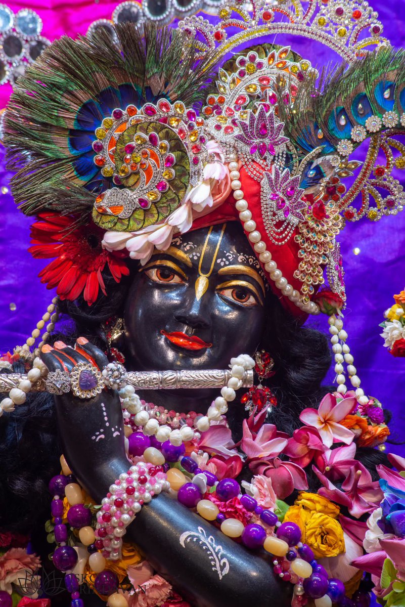 theholy_monk's tweet photo. Today's Singar Darshan 
ISKCON Temple Vrindavan 
Date: 20 June 2026 Saturday 

🥀🥀🥀Radha Shyam Sundar 🥀🥀🥀 https://t.co/Th3N6ErQWk