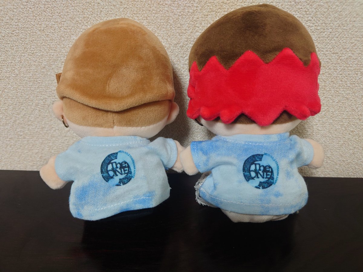 nosuke_eighter's tweet photo. #SUPER_EIGHT 
#The_One
#ダンダーラ
#SUPER_EIGHTちびぬい
いつもリクエストして利用させていただいているぬい服作家さんに、The One風衣装とダンダーラ風衣装をお願いしていた物が届いたのでさっそくうちのしょーてぃとたでぃに着せてあげてみた😌🩵💚
めちゃくちゃ可愛い🥰 https://t.co/ZfvUjmqKQt