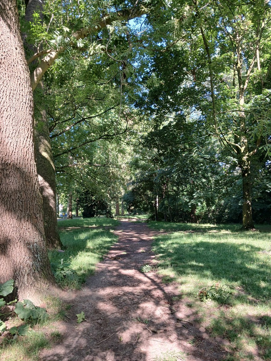 luckasdelille59's tweet photo. En balade au long de la #Deule et au parc de la #Citadelle de #Lille pendant que l'on a un peu de fraîcheur et ça fait oublier un petit instant les horreurs du monde 🙄
Déjà beaucoup de monde à toute à l'heure 🙋‍♂️🌞 https://t.co/qo8PXtIKPY
