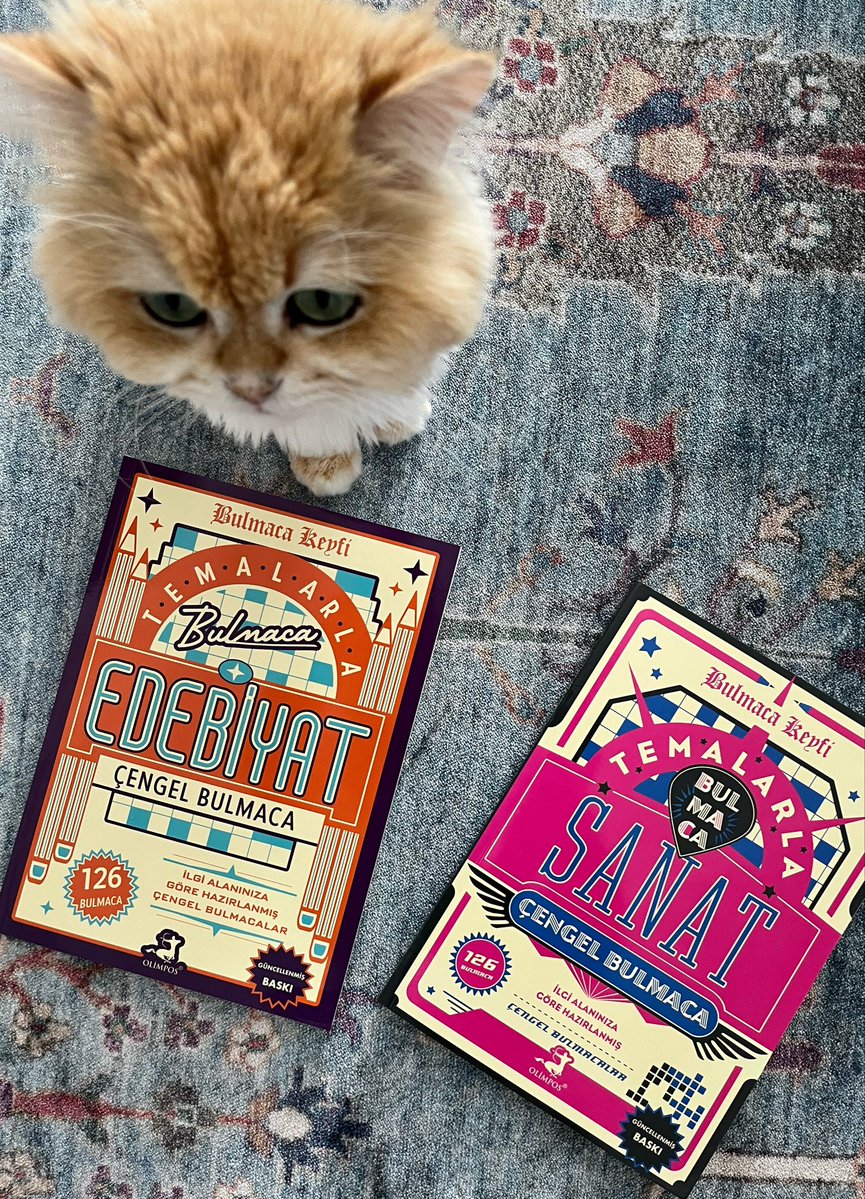 monobjetpetita's tweet photo. kargom geldi, harika görünüyorlar🦁 https://t.co/xavcVfZ6gj