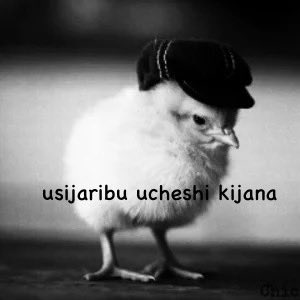 burzoby's tweet photo. @beabaaboodeee @Dop______ @dom1t1 https://t.co/ORNnFiAuKv