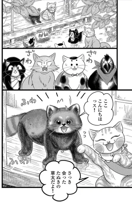 レッサーパンダが動物園を脱走して、猫に会いに来た理由
(0/2) 