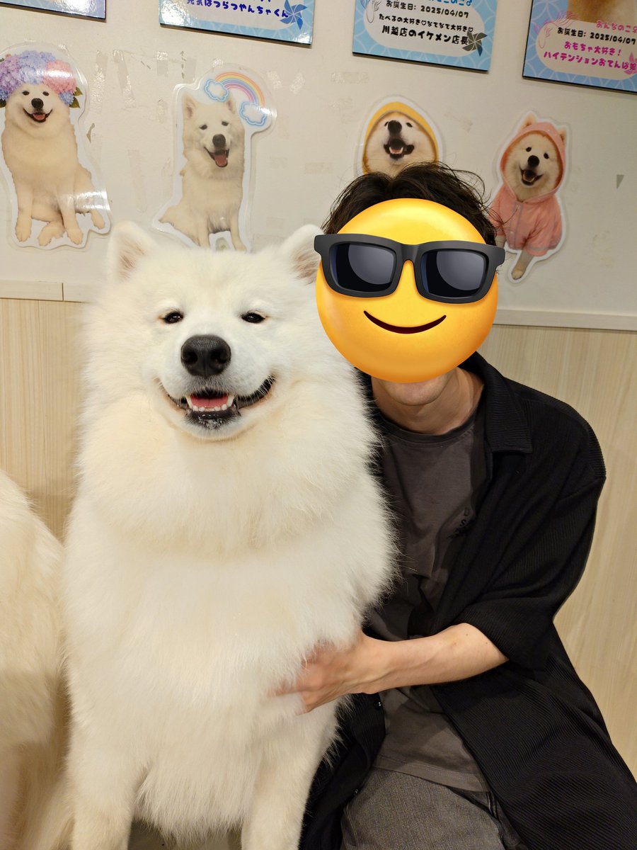 gryk_310's tweet photo. サモエドカフェが人気な理由がよう分かったわ https://t.co/eeBVA1PcY7