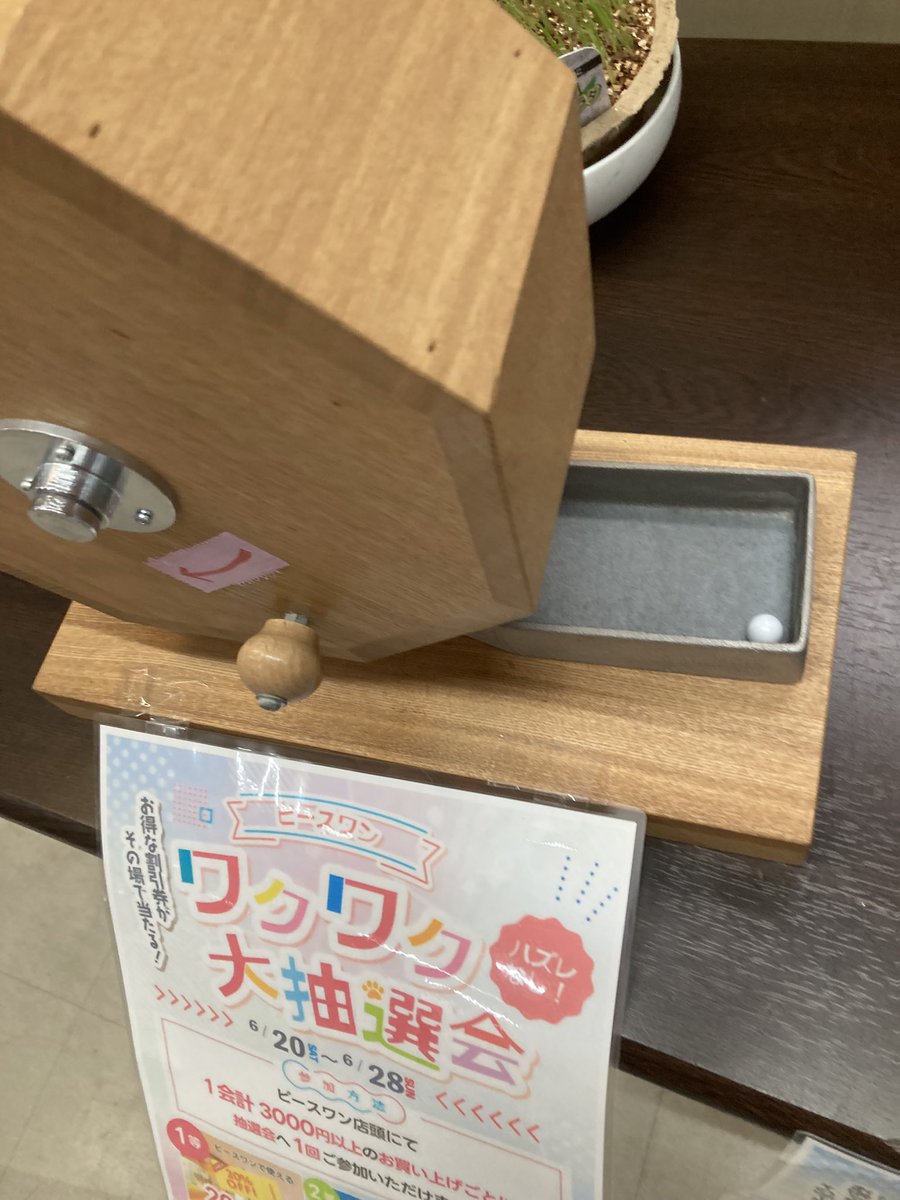 6cafe372's tweet photo. これでて

『1やわ』って言ってもた…

もうどないしようもないな… https://t.co/wpKs5F7Wqr