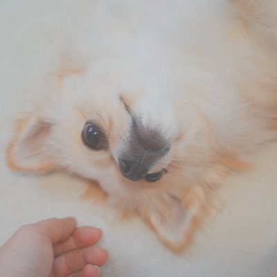 tiinuto's tweet photo. #新しいプロフィール画像 https://t.co/NIo8APANDv