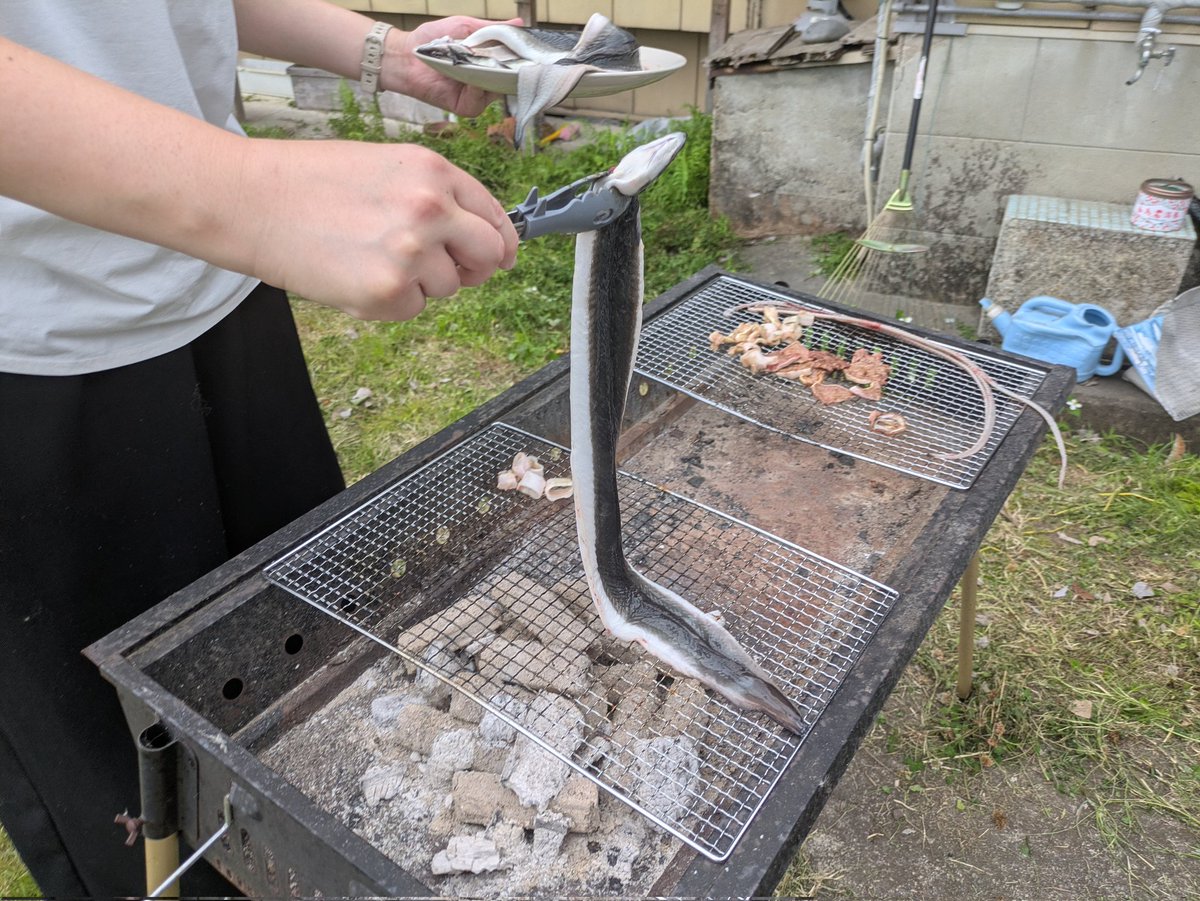 heidayou1's tweet photo. うなぎを焼いてます
U字溝で焼いてます
余りそうです
お待ちしております https://t.co/iQ9hbSQpBa