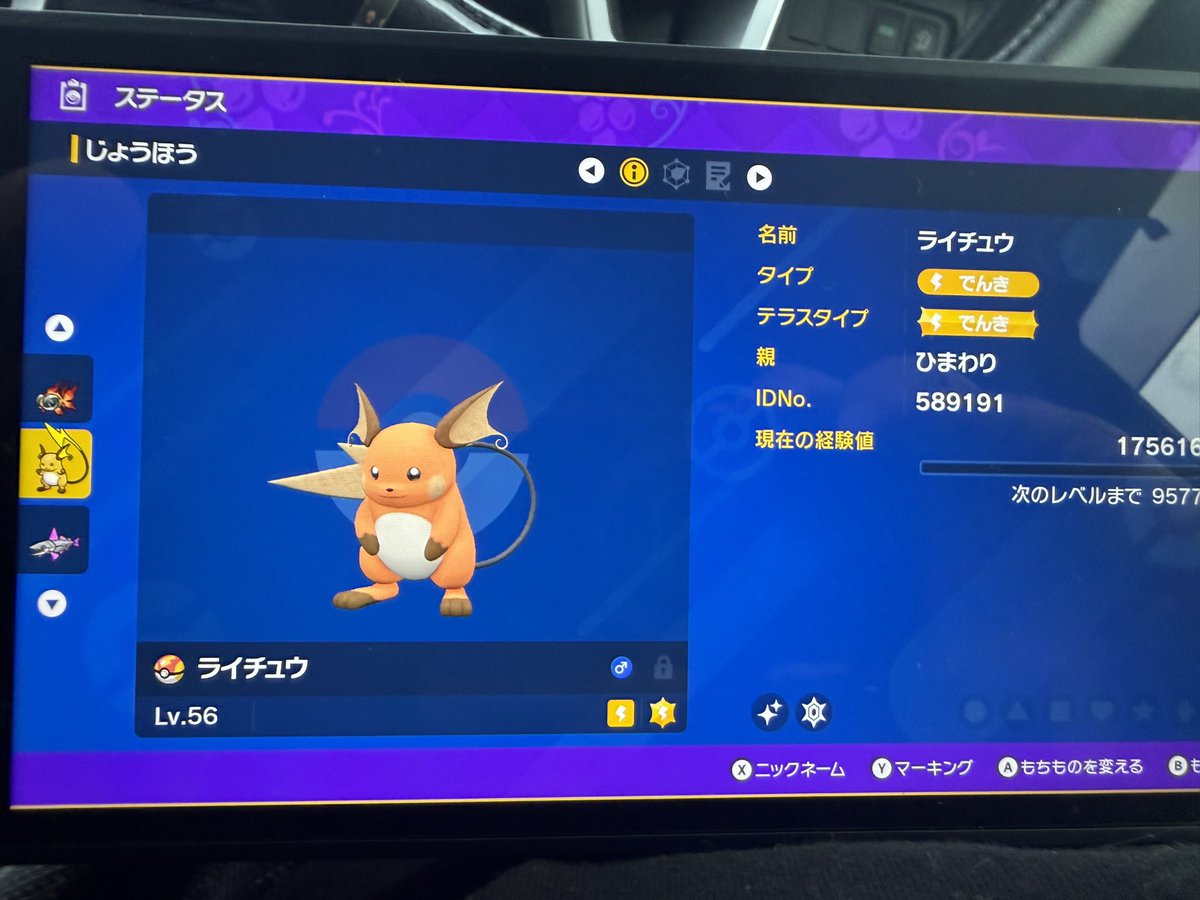 asapidao's tweet photo. チャンピオンズで使おうと思って色厳選してたらとんでもないライチュウゲットだぜ(｡ ・`ω・´) ｷﾗﾝ☆ https://t.co/Z5WJzB5PAK
