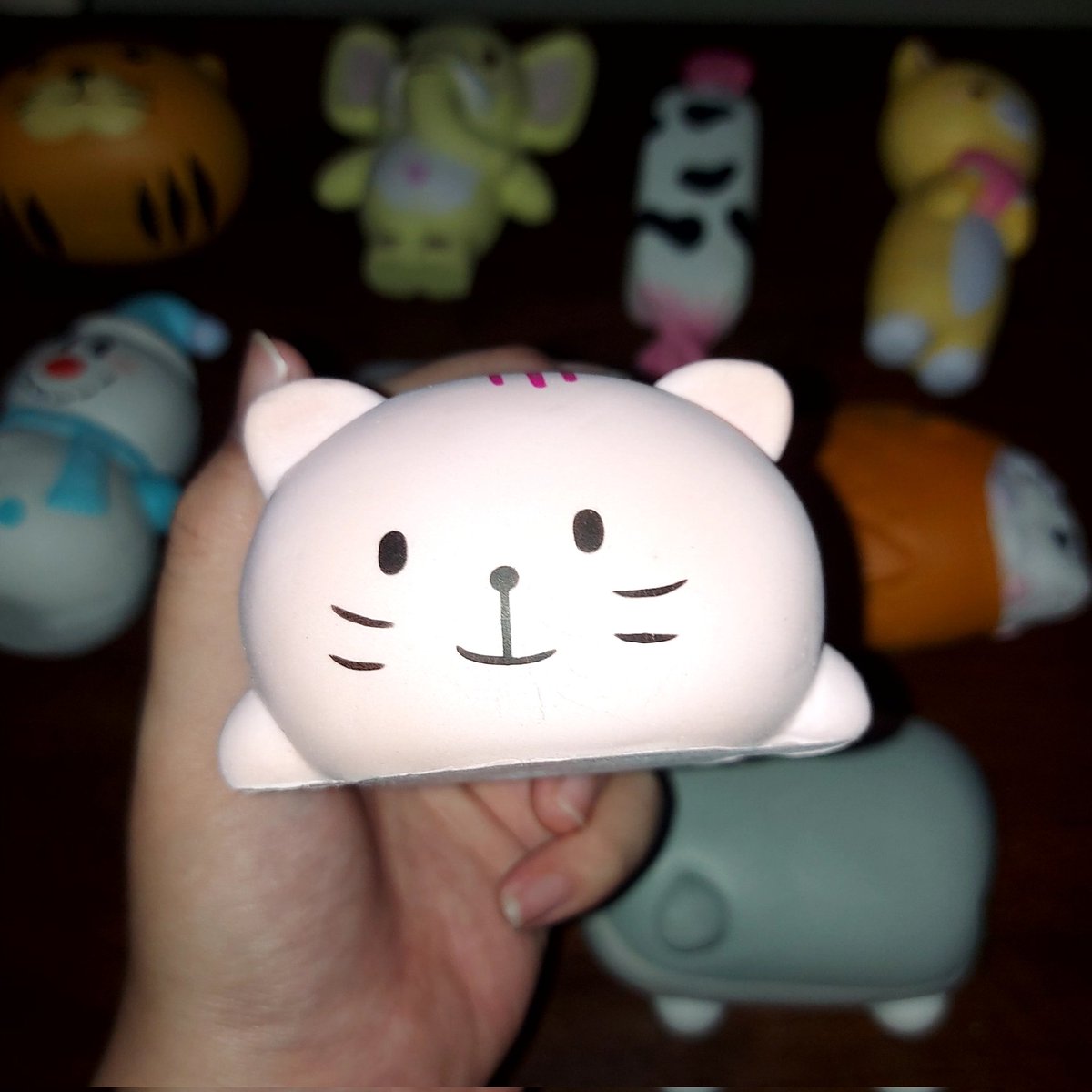 kkmbho's tweet photo. angie squishy jolly cat 
grey 45k 
pink 55k https://t.co/bOJ5xPFMoW